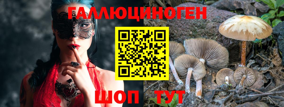 Псилоцибиновые грибы GOLDEN TEACHER Лыткарино