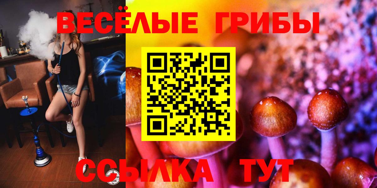 где продают   Вход с VPN  Лыткарино  Галлюциногенные грибы Magic Shrooms  Псилоцибиновые грибы Cubensis 